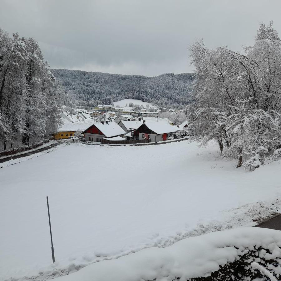 Haus Am Schloss Bleiburg Buitenkant foto
