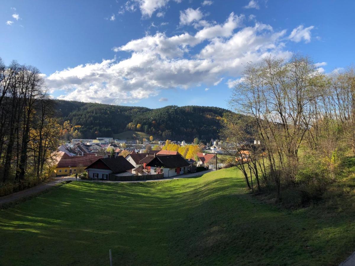 Haus Am Schloss Bleiburg Buitenkant foto